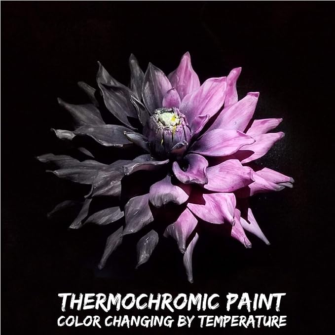 Heat Sensitive Thermochromic Powder Pigment Black to Pink Changing at 88F/31C Perfect for DIY Color Changing Hair Dye Nail Polish Resin Jewelry DIY Color Changing T-Shirts and Shoes