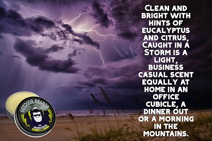 Beard Balm | 2 oz Cleansing Balm for Beards Short or Long | Beard Conditioner for Men | Essential Moisturizer for Every Man's Beard | Leave Hair and Skin Healthy (Caught in a Storm)