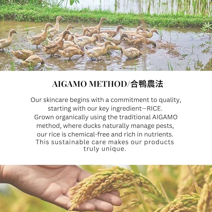 SWANESS Clear Oil – Japanese Premium Oil Cleanser with Rice Power | Anti-Aging Makeup Remover & Deep Pore Cleanser | Removes Waterproof Mascara & Sunscreen for Radiant Skin