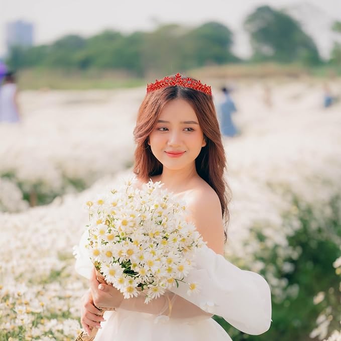 Women's Tiara, Crown for Henna Wedding Party | Glitter Hair Accessories for Bridal Birthday Pageant Prom Halloween Costume Christmas, Halloween Princess Crowns | Dream Design - Red Gold