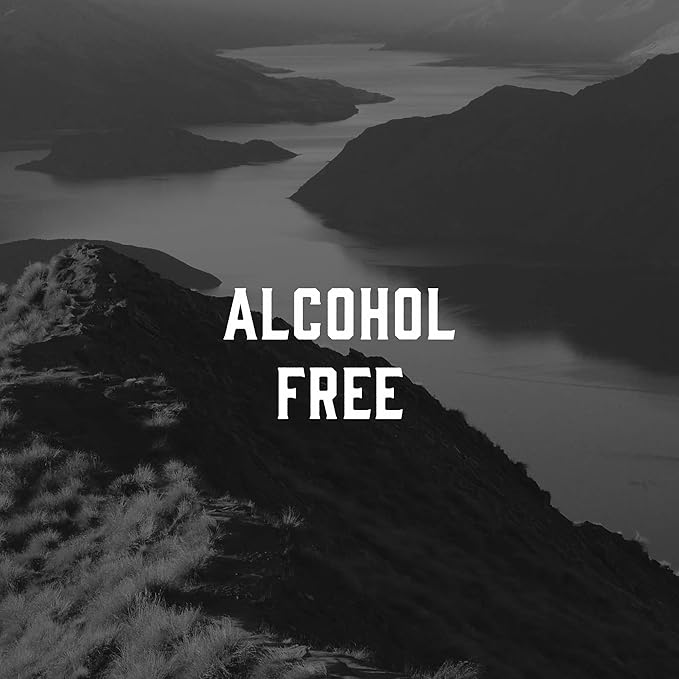 Triumph & Disaster | Logic Toner | Gentle, Hydrating & Cleansing - 100% Alcohol-Free Toner for Sensitive, Acne Prone Skin for Men, 8.45 fl oz