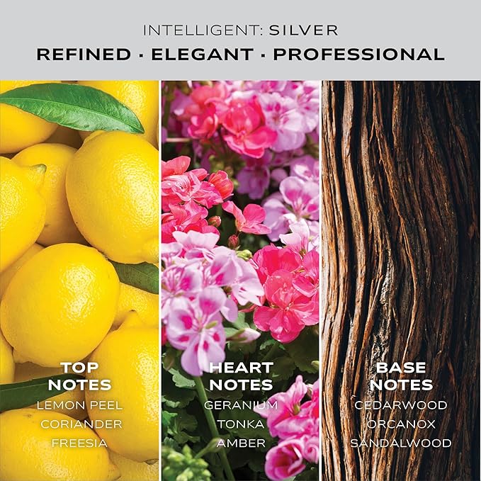 Intelligent Silver | Clean, Collected, and Sophisticated | Extrait de Parfum for Men | 3.4 Fl Oz (100 mL)