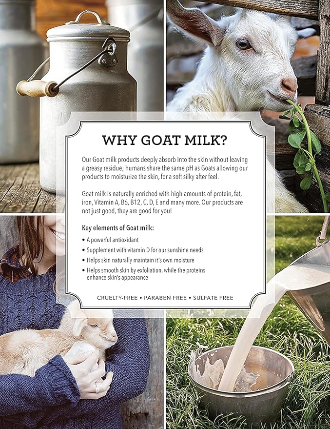 Dionis Goat Milk Peppermint Scent Lip Balm 0.28 oz. 1 pk