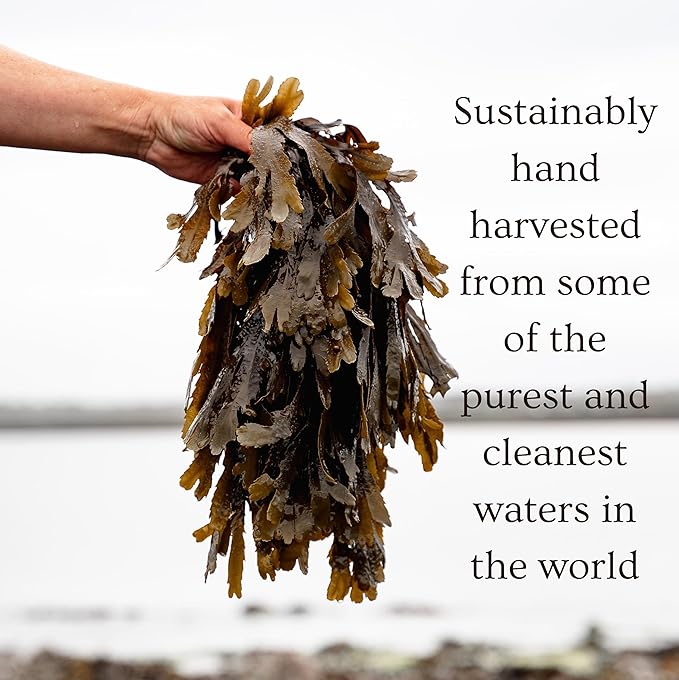 Ishga Body Spray | Natural & Organic Skincare | Scottish Seaweed | Lemongrass, Rose Geranium, Red Mandarin, Bergamot, Sandalwood | 3.38fl oz (100ml)