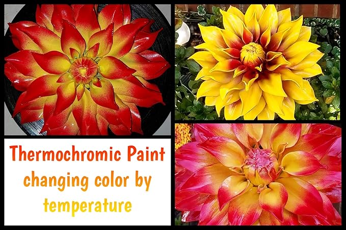 Temperature Activated Thermochromic Powder Pigments Multicolor Pack Perfect for Color Changing Slime Nail Art Secret Message Tumblers Science Experiments Resin Jewelry T-Shirts Shoes