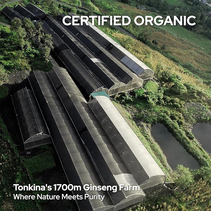 Youth 1700 Anti-Aging Serum, Hydrating Serum with Bakuchiol, Niacinamide & Hyaluronic Acid, Reduces Wrinkles, Brightens Skin, and Smooths Fine Lines, Suitable for All Skin Types, 1 fl. oz