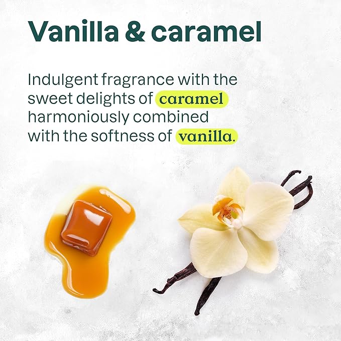 Bundle of ATTITUDE Liquid Hand Soap, EWG Verified, Plant and Mineral-Based, Vegan Personal Care Products, Apple & Spices, 16 Fl Oz + Liquid Hand Soap, Vanilla Caramel, 16 Fl Oz