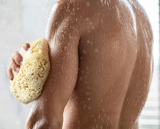 Real Sea Sponge for Men - Extra Large 6"-7", Totally Natural, Kind on Skin for an Invigorating Shower, Supplied in Breathable Mesh Bag. Great for The Gym, Grooming, Bath & Body Gift by Constantia Man