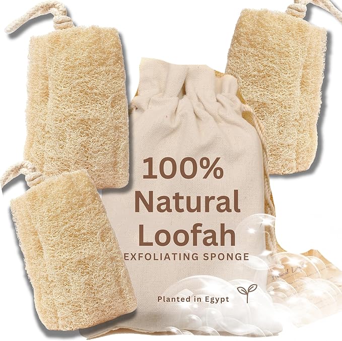 All Natural Loofah Sponge, Pack of 3 Real Egyptian Bath & Shower Exfoliating Loofa Scrubber Sponges for Face, Back & Body, Eco Friendly, No Toxic Chemicals, 6" x 6" by Crafts of Egypt