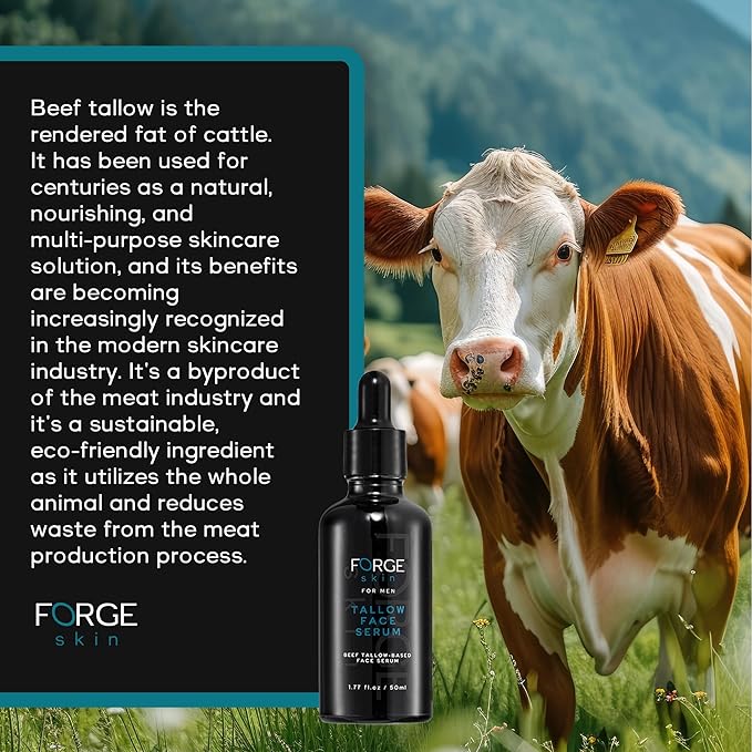 Original Forge Skin Men's Anti-Wrinkle Night Beef Tallow for Face Skin Care - 50ML | Green Tea Face Serum Brightening Serum Skincare For Men | Pore Minimizing Beef Tallow for Skin Glow and Hydration