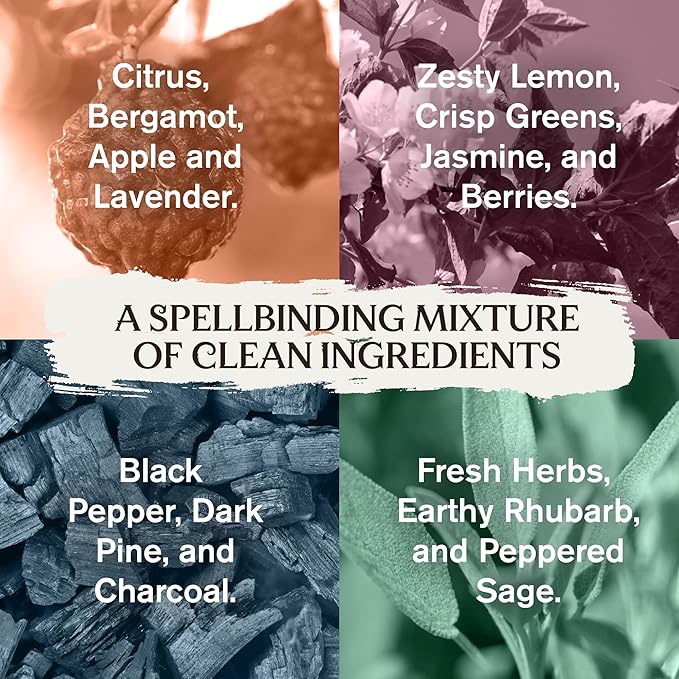 Every Man Jack Harry Potter Collectors Body Wash Gift Set - Includes 4 Body Washes with Clean Ingredients & Hogwarts Inspired Scents - Forbidden Forest, Charms, Herbology, Potions