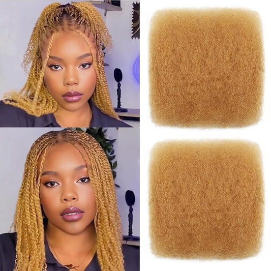 Afro Kinkys Bulk Human Hair 10 Inch 100g Honey Blond Afro Kinky Curly Human Hair Bulk for Dreadlock Extensions, Micro Locs, Braiding Twists, Braids and Repair Locs(10 Inch, 27#)
