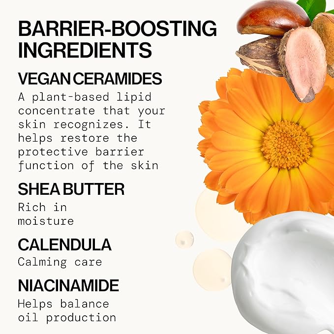Pacifica Face Cream - Vegan Ceramide Barrier Cream w/Niacinamide & Shea Butter - Hydrating Daily Face Moisturizer Fragrance Free for Sensitive Skin, Vegan, Clean Beauty Allergy & Dermatologist Tested