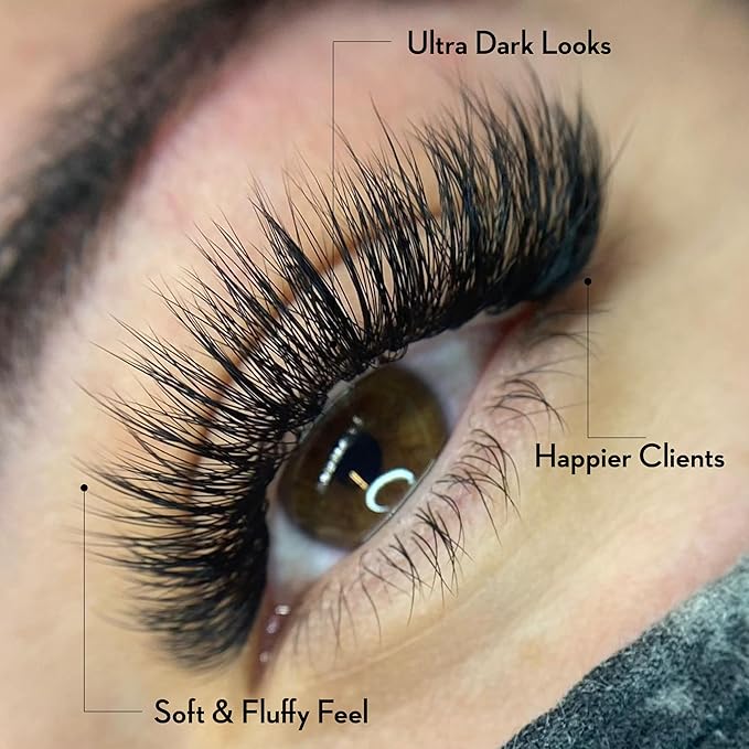 500 Loose Premade Fans Eyelash Extensions, D Curl Volume Lashes,10D 20D 14D-0.05 Thickness, 9-16mm Fluffy Handmade Fan Mixed Tray