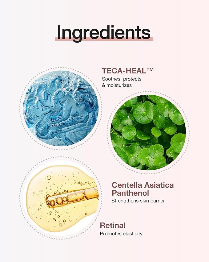 CENTELLIAN 24 Expert Cream (Signature, 1.69fl oz) - Premium Age-Defying Moisturizer for Wrinkles, Aging, Sensitive Skin. Korean Skin Care. Centella Asiatica, TECA, Gotu Kola