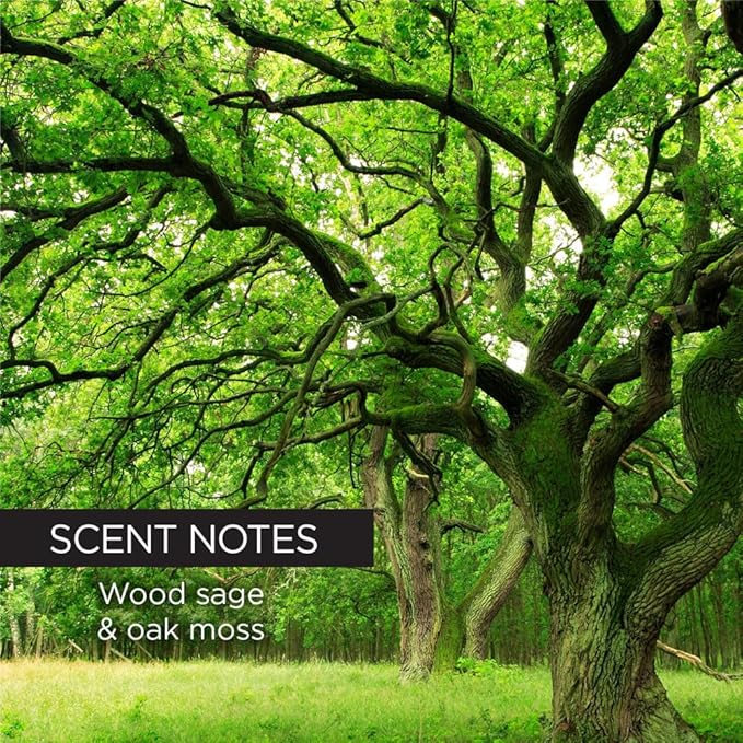 Whish Mens Golf Club Shaving Cream