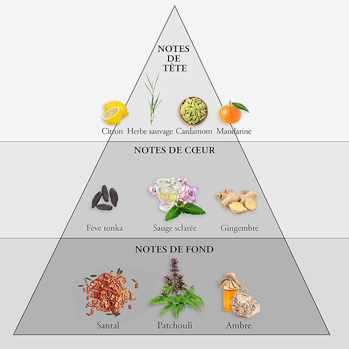 WHISKY SPORT • Eau de Toilette 100 ml • Men's perfume • Spray • EVAFLORPARIS