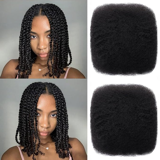 Afro Kinkys Bulk Human Hair 12 Inch 100g Nature Black Afro Kinky Curly Human Hair Bulk for Dreadlock Extensions, Micro Locs, Braiding Twists, Braids and Repair Locs(12 Inch, 1b#)