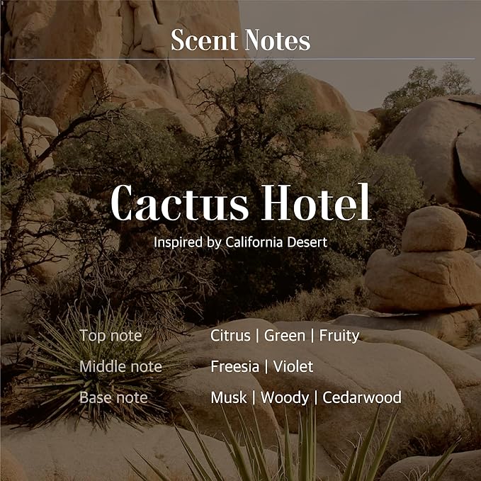 Fountain of Waters Cactus Hotel Hand Wash 300ml and Hand Serum Cream 45ml, Special Set of Gifts for Her - Vegan Cruelty-Free Premium Hand Wash with Almond Oil, Crafted in Korea