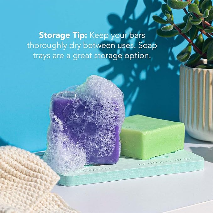 Ethique Tone it Down Giftpack - Purple Shampoo for Blonde Hair and Gray Hair & Conditioner Bar Set - Vegan, Eco-Friendly, Plastic-Free, Cruelty-Free 6 oz (Set of 2)