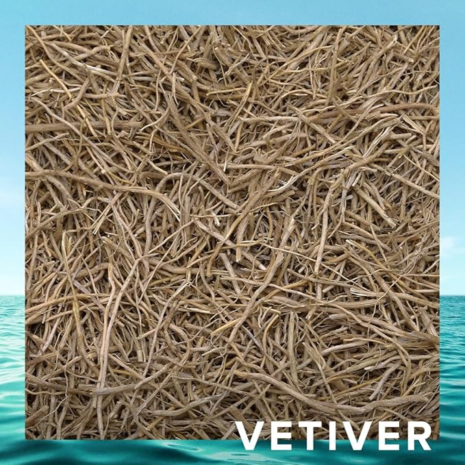 R7 Origins Cristiano Ronaldo - With Pineapple Sorbet, Mandarin, and Patchouli - From Cristiano Ronaldo's Original Men's Fragrance Collection - 1.7 oz edt spray