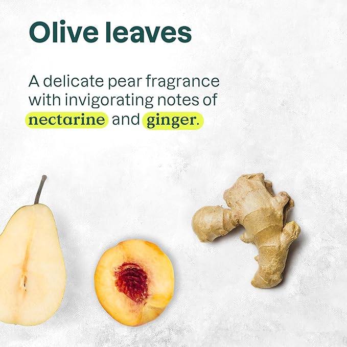 ATTITUDE Liquid Hand Soap, EWG Verified, Plant and Mineral-Based, Vegan Personal Care Products, Olive Leaves, 16 Fl Oz (Pack of 6)