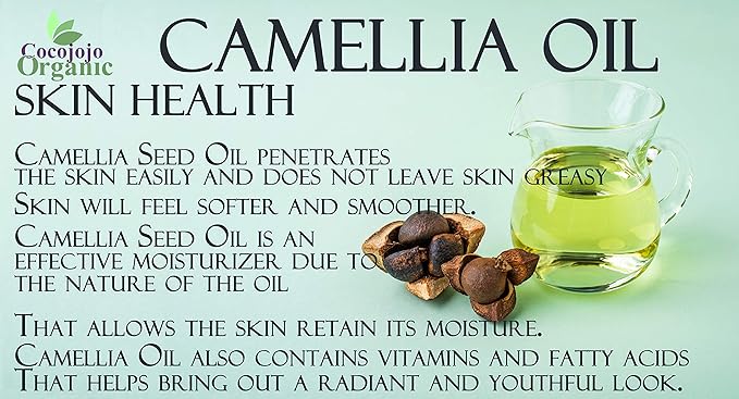 Dr Joe Lab Japanese Camellia Seed Oil - Pure, Cold Pressed, Non-GMO Carrier - 8 oz - for Skin, Hair, Nails, Body, Facial Hair - Hydrating Moisturizing Vegan Nourishing - Packaging May Vary