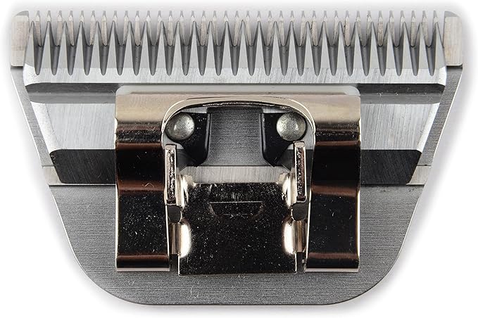 Detachable Blade - Size 10WF Wide Blade 1/16", Made of Extra Durable Japanese Steel, Compatible with Most Andis, Oster, Wahl A5 Clippers