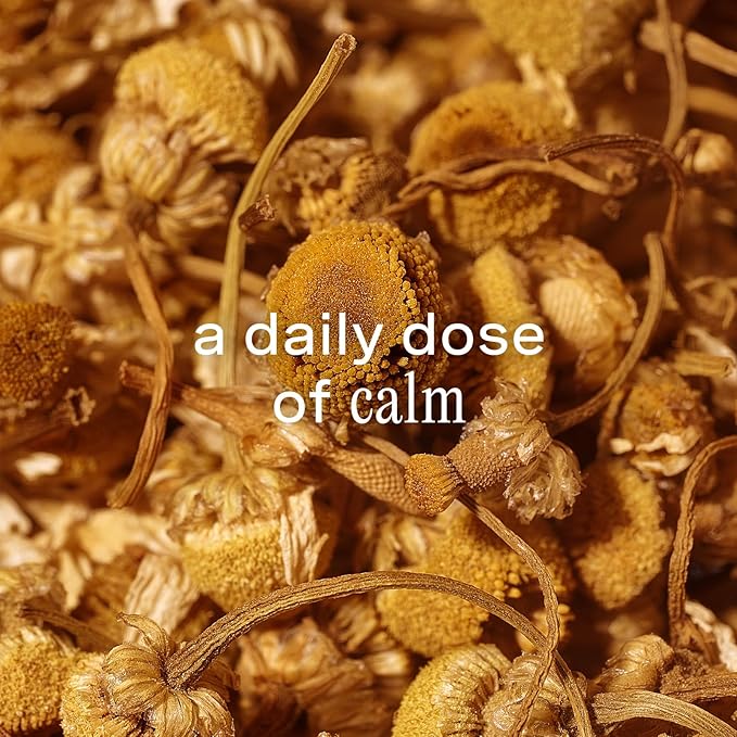 Addison Rae Fragrance Chill - Luxury Perfume for Women - Floral Woody Scent - Eau De Parfum - Notes of Pear, Apple, Sandalwood - Long Lasting Vegan Travel Cologne - Gift for Her -3.4oz EDP Spray