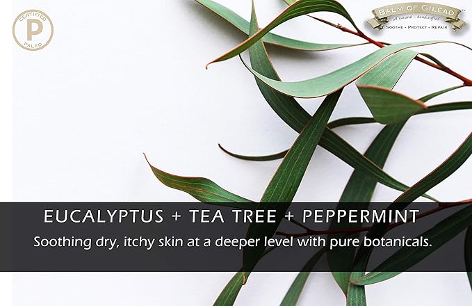 Foot Healing Cream – Intensive Moisture and Healing, Foot Care and Body, Skin Soothing Cream - Eczema, Ringworm, Dry, Chaffed Skin, Nail - Tea Tree with Eucalyptus, Frankincense and Sweet Myrrh