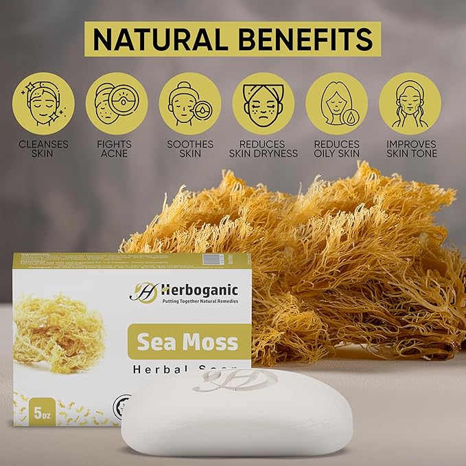 Sea Moss Herbal Soap | Pack of 6 of 5oz soap Bar | Ideal for Men and Women, Soothing and Nourishing Soap for Moisturization