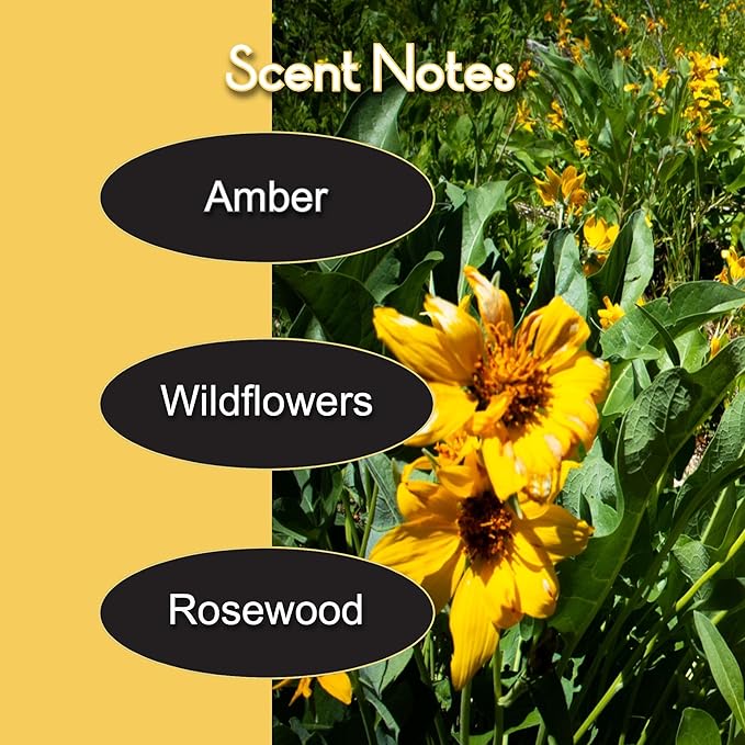 Beard Balm | 2 oz Cleansing Balm for Beards Short or Long | Beard Conditioner for Men | Essential Moisturizer for Every Man's Beard | Leave Hair and Skin Healthy (Summertime)