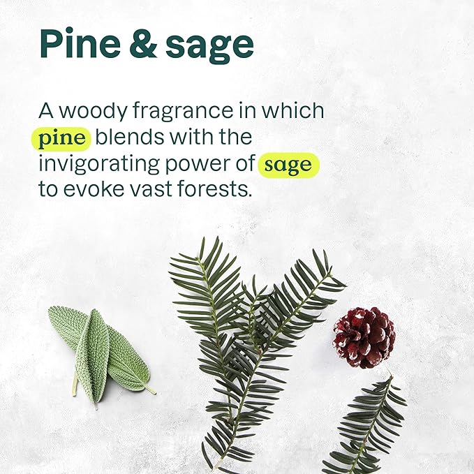 Bundle of ATTITUDE Liquid Hand Soap, EWG Verified, Plant and Mineral-Based, Vegan Personal Care Products, Pine & Sage, 16 Fl Oz + Orange Cinnamon, 16 Fl Oz