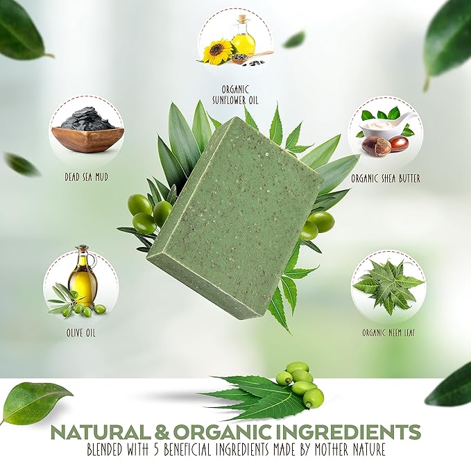 Aspen Kay Naturals Handmade - Dead Sea Mud and Neem Soap Bar for Face & Body (6 Pack)- Natural and Organic Ingredients – For All Skin Types – Made in the USA 4.5 oz Per Bar