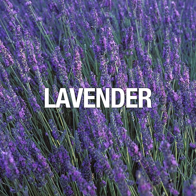 Curve Curve for Men, Men's Fragrance 2 Piece Gift Set, 2.5 Fl. Oz. Eau De Cologne and 6.0 Oz Deodorant Spray, 2 Count