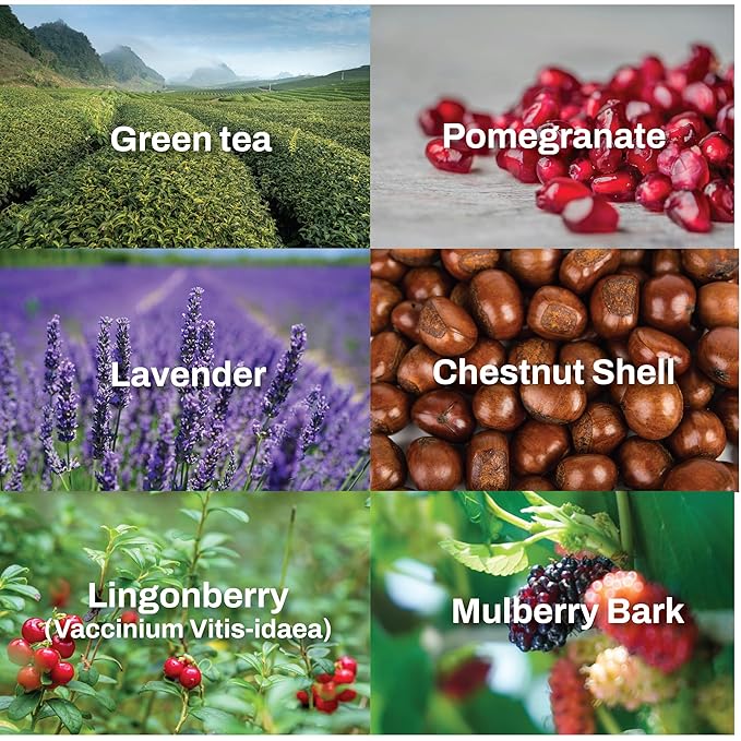 Pore Control Cleansing Gel Foam - Korean Skincare Gel to Foam Cleanser with Green Tea, Chestnut Shell, and Botanical Complex for Pore Care, Sebum Balance and Makeup Removal, 155ml / 5.24 fl.oz