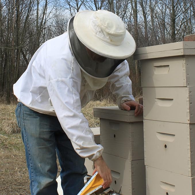 Beessential All Natural Foaming Hand Soap, Grapefruit And Lemongrass Essential Oils, Made with Moisturizing Aloe & Honey - Made in the USA, 16 oz