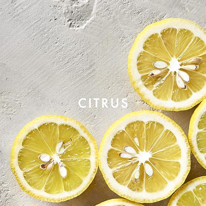 Alfred Sung Women's Perfume Fragrance, Sung by Alfred Sung, Eau de Toilette Spray, 1 Fl Oz