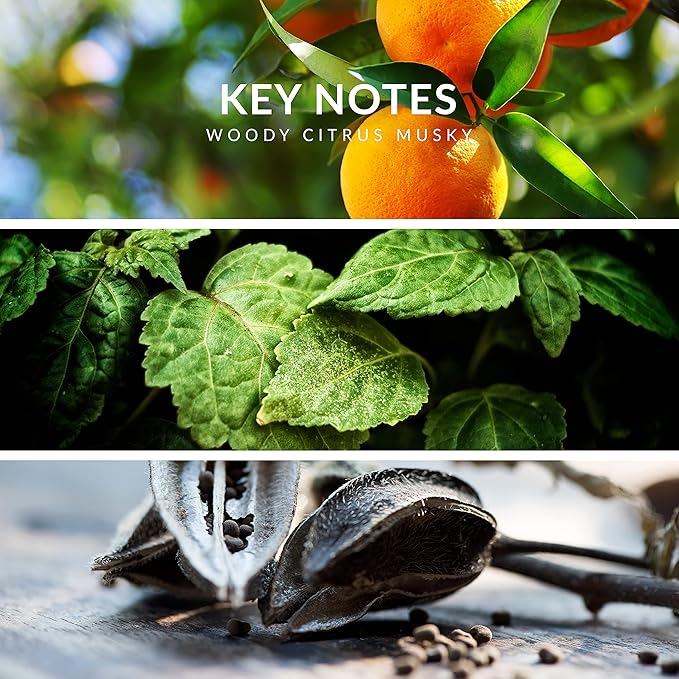 Reyane Tradition Insurrection (Sport II)