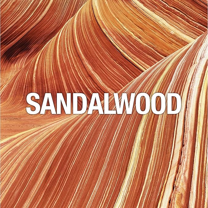 Curve Curve for Men, Men's Fragrance 2 Piece Gift Set, 2.5 Fl. Oz. Eau De Cologne and 6.0 Oz Deodorant Spray, 2 Count