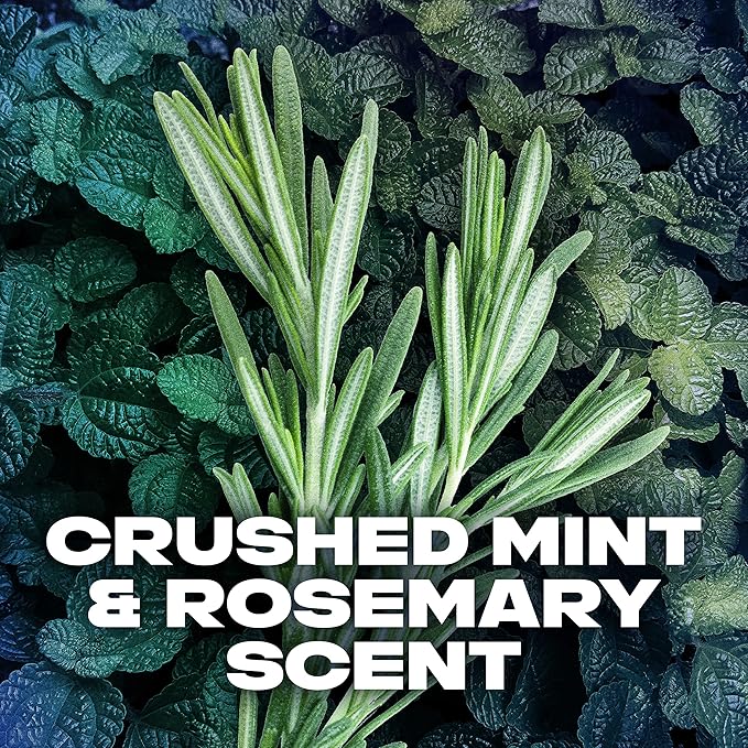 Axe Body Spray Deodorant For Long Lasting Odor Protection, Phoenix Deodorant For Men Formulated Without Aluminum, 4 Oz (Pack of 4)