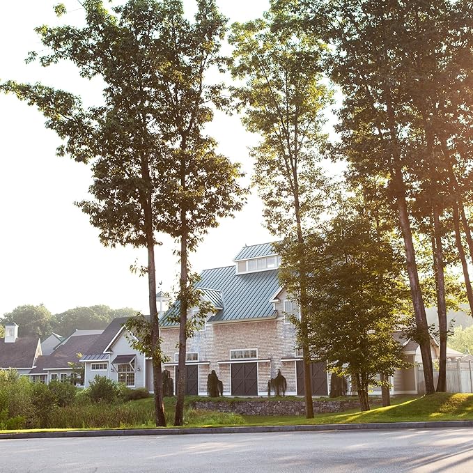 Stonewall Kitchen Lemon Parsley Hand Soap Refill, 35 Ounces