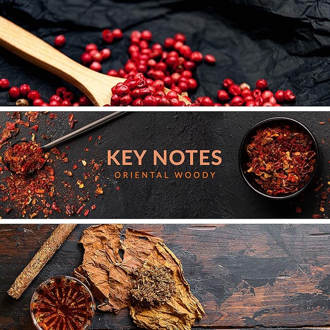 Reyane Tradition Insurrection (Dark II)